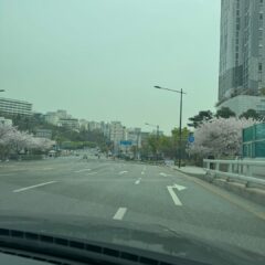 부산운전연수 잘하는 업체 후기 후기 이미지