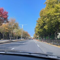 부산운전연수 여기서 받길 잘했어요 후기 이미지