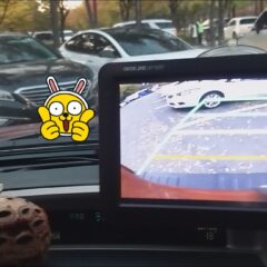 50대도 할 수 있어요! 부산운전연수 도전기 후기 이미지